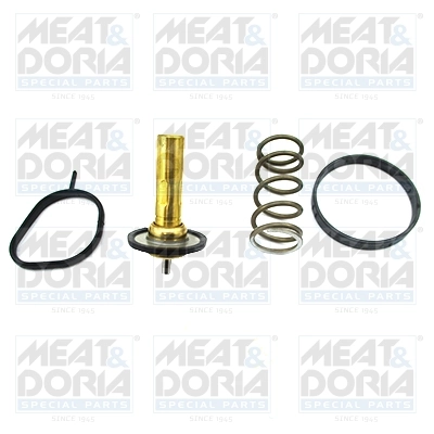 Thermostat, coolant
